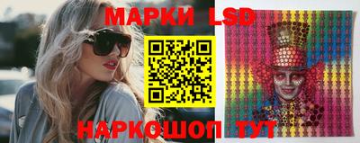 гидра Ставрополь