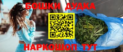 гидра Ставрополь