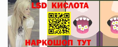гидра Ставрополь