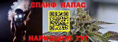 гидра Ставрополь