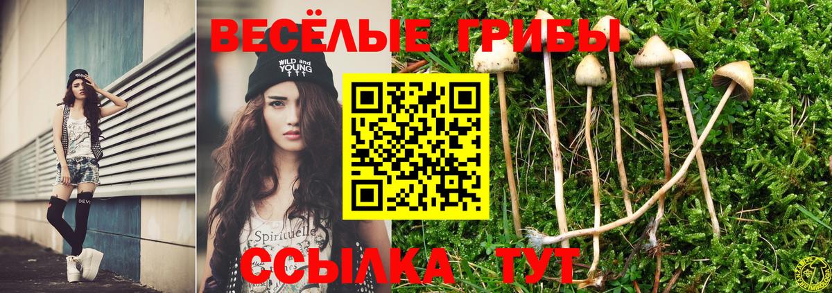 Галлюциногенные грибы мицелий  Галлюциногенные грибы мухоморы  Алапаевск  Вход с VPN 